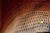 IMG_8369.webp