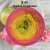 produkty-sklep-8211-2025-05-05T130005.453.webp