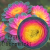 produkty sklep - 2026-03-11T104239.401.png