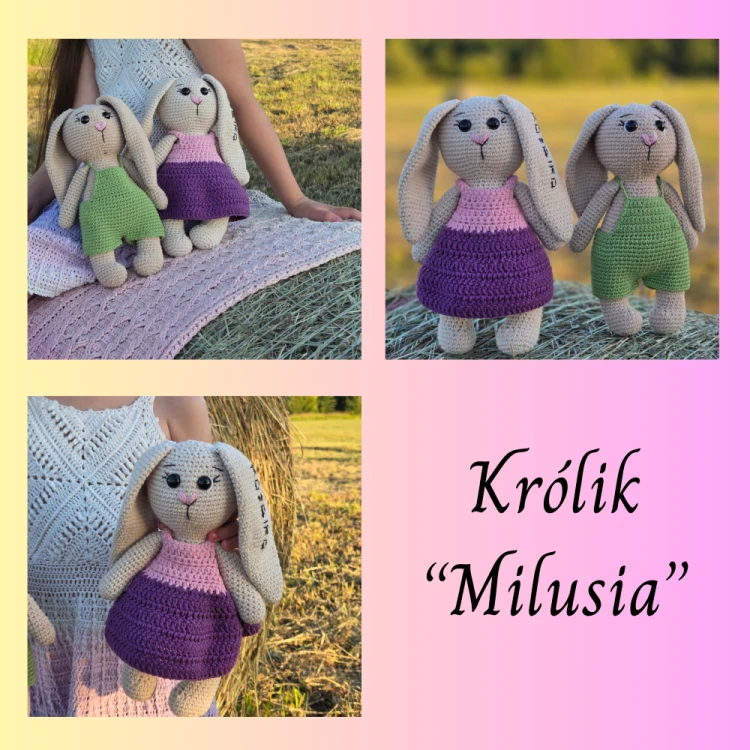 królik.png