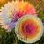 produkty sklep - 2026-06-24T163041.084.png