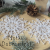 produkty sklep - 2026-10-21T113617.788.png